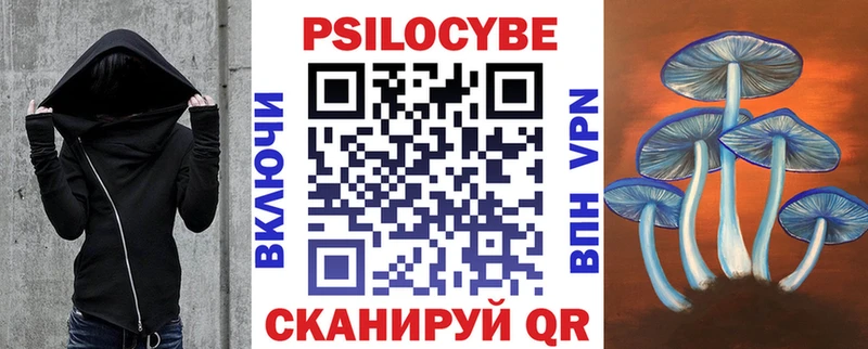 как найти наркотики  Котельнич  Галлюциногенные грибы мицелий 
